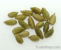 Cardamom