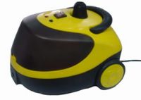 steam cleaner DSC250