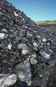 Steam Coal