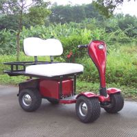 TWO SEATS GOLF BUGGY