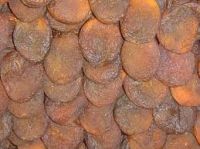 Sundried Apricot