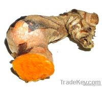 Curcumin 95%