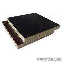 supply high density and quality film faced plywood