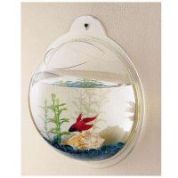 Wall Mount Fish Bowl Aquarium or Planter for Home Decor