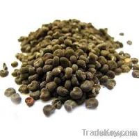 Amberette Seed Oil