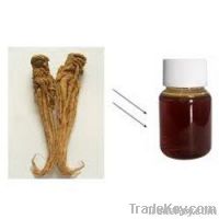 Angelica Root Essential Oil