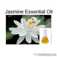 Jasmine Grandiflorum essential oils