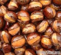 Roasted ringent chestnut