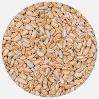 Sunflower kernels