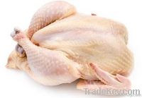 Frozen Chicken Whole