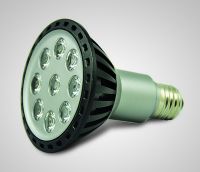 led PAR30 Light