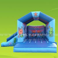 2011 hot bouncy house, bouncy castle CF-1169