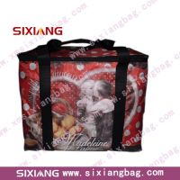 Fashion Cooler Bags
