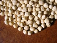 https://fr.tradekey.com/product_view/Blanched-Roasted-Hazelnut-Kernels-170525.html