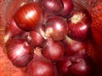 Red onion