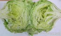 Iceberg Lettuce