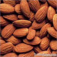 Almond Supplier | Almond Exporter | Almond Manufacturer| Almond Trader | Almond Buyer | Almond Importers | Import Almond