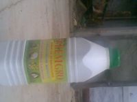 NEEM OIL PESTICIDE