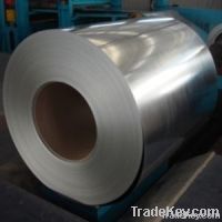 Hot/ Cold dipped galvanized steel