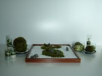 Japanese Zen &  Moss Garden Set