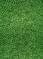 SPORSAN ARTIFICIAL TURF