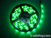 smd 5050 and 3528 waterproof led rope light