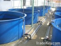 Fibreglass aquatic tank , fish tank