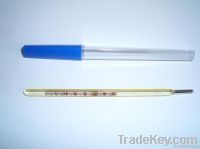 Clinical Thermometer (Oral, Rectal, Armpit)