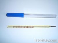 Clinical Thermometer (oral, Rectal, Armpit)