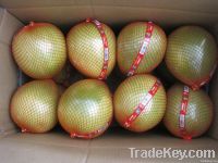 Fresh Pomelo