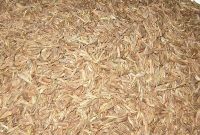 Caraway Seeds