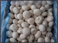 IQF champignon mushroom