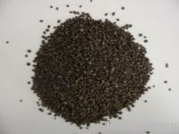 Russian DI Ammonium Phosphate (DAP)
