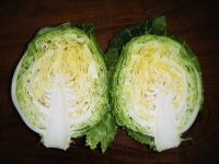 White Cabbage