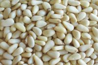 https://jp.tradekey.com/product_view/Big-Size-Pine-Kernels-550-750-Count--1738125.html