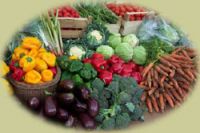 https://www.tradekey.com/product_view/Egyption-Fresh-Vegetables-186752.html