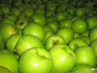 https://www.tradekey.com/product_view/Apples-Golden-Delicious-Granny-Smith-Etc--1739756.html