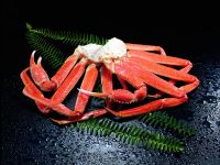 King crab, Snow Crab, Red snow crab