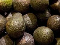 Avocados Haas Mexico