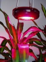 CTG-01 90W UFO LED Grow Light