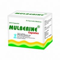 Effective and Natural Health Supplements - Mulberine Capsules