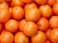 Navel orange and orange processed product