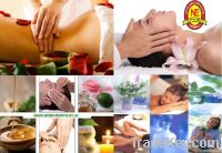 MASSAGE OILS