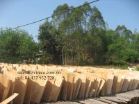 Eucalyptus Core Veneer for Plywood