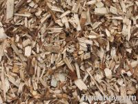 Woodchip for making paper
