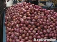 Onions and potatoes
