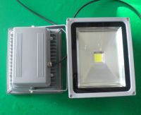 LED Flood Lights