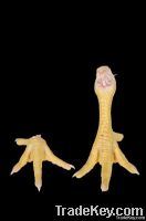 Chickent Feet