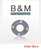 Forged Flanges