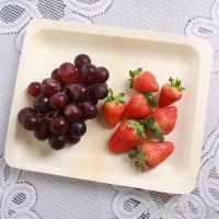 disposable wooden plate/square plate/cheese plate/cake plate/fruit pla